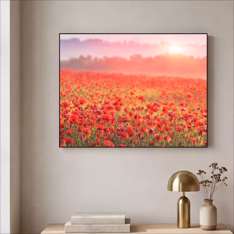 Art Frame - Bloemen - Klaprozen - Rood - Bloemenveld — 5