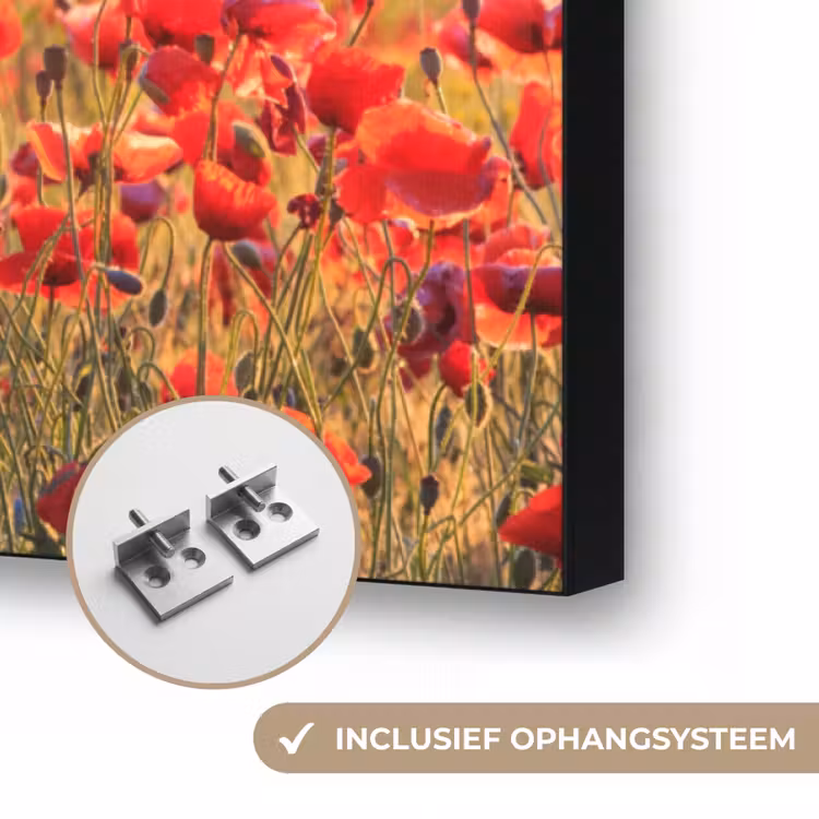 Art Frame - Bloemen - Klaprozen - Rood - Bloemenveld — 6