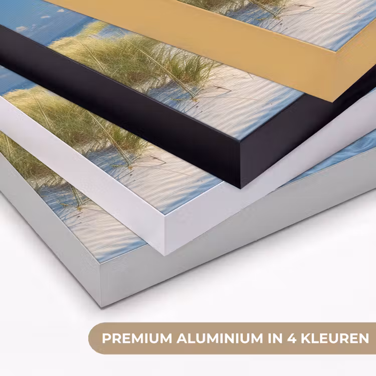 Art Frame - Duinen - Zomer - Zon - Landschap - Zee — 2