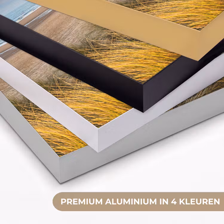 Art Frame - Gras - Duinen - Strand - Zomer — 2
