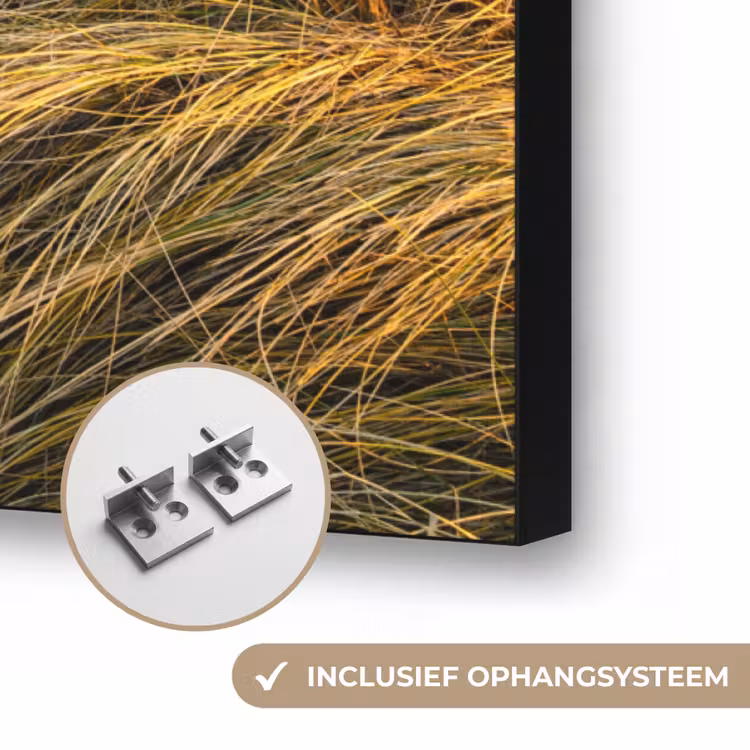 Art Frame - Gras - Duinen - Strand - Zomer — 6