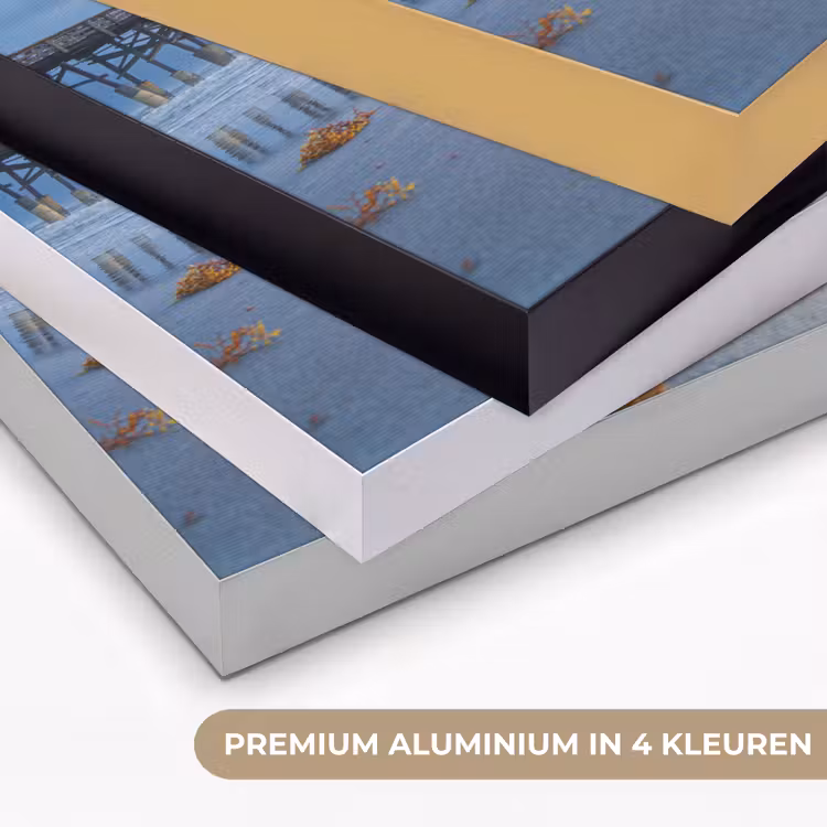 Art Frame - Strand - Pier - Zeewier - Zee - Zomer — 2