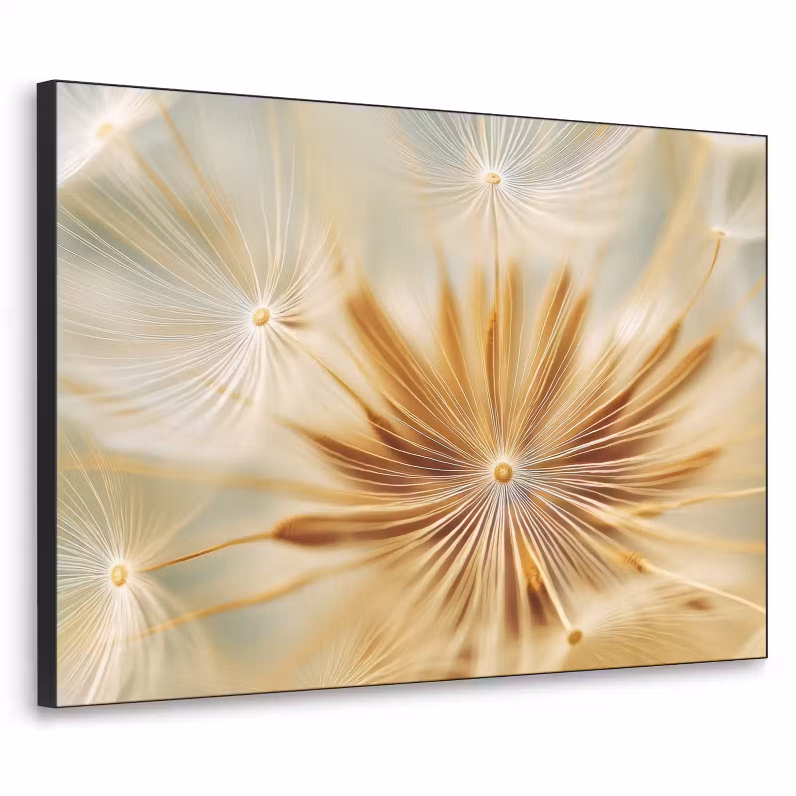 Art Frame - Paardenbloem - Beige - Abstract - Modern - Natuur — 1