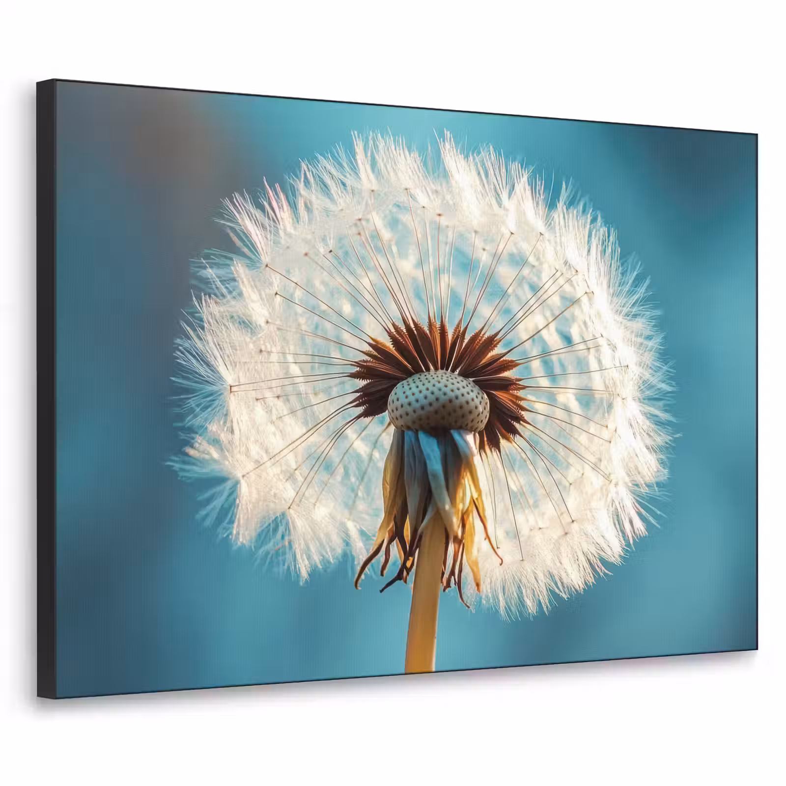 Art Frame - Paardenbloem - Natuur - Bloemen - Blauw — 1