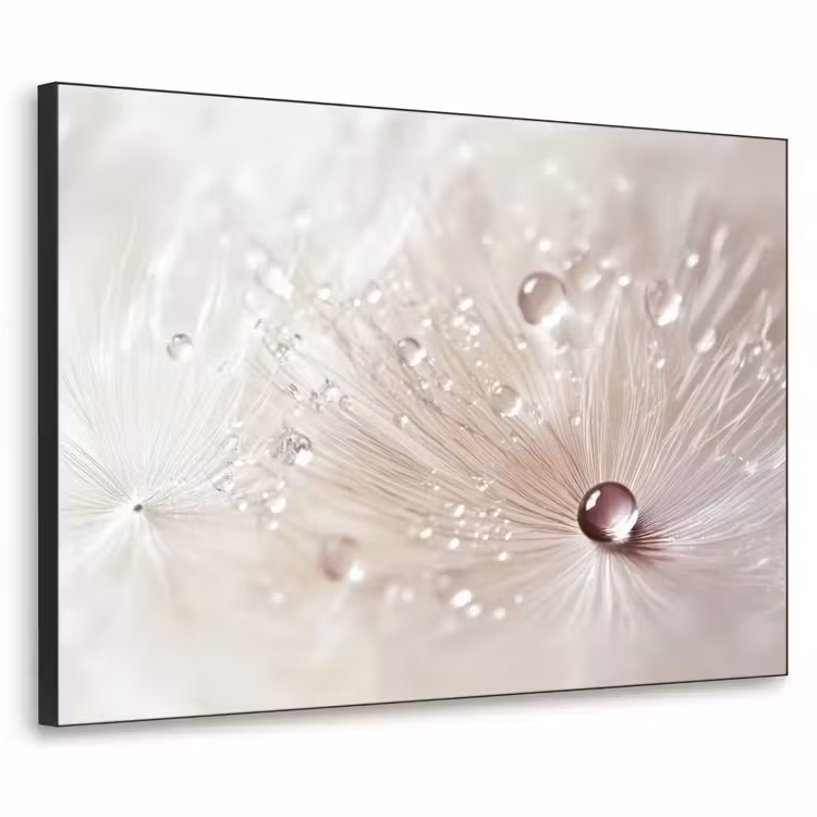 Art Frame - Bloem - Abstract - Wit - Water - Natuur — 1