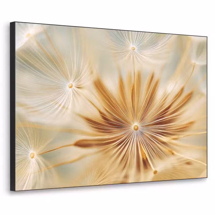 Art Frame - Paardenbloem - Beige - Abstract - Modern - Natuur — 1