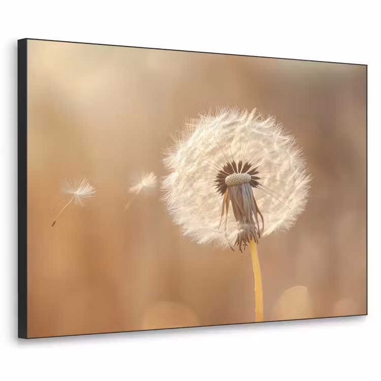 Art Frame - Paardenbloem - Beige - Natuur - Bloem — 1