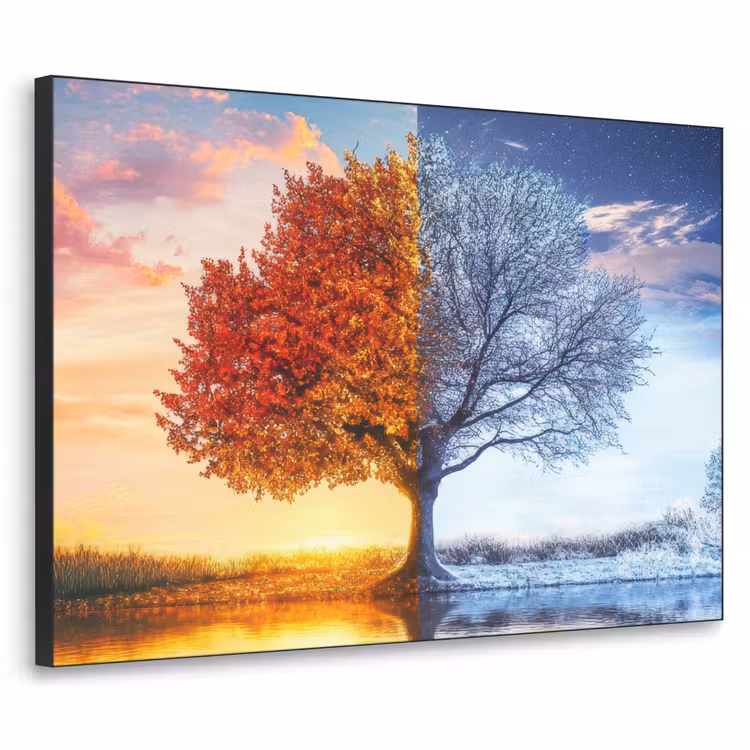 Art Frame - Seizoenen - Kunst - Boom - Herfst - Winter — 1