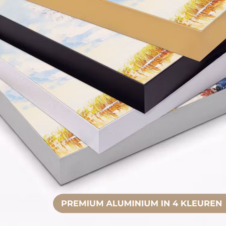 Art Frame - Boom - Kunst - Seizoenen - Lente - Herfst — 2