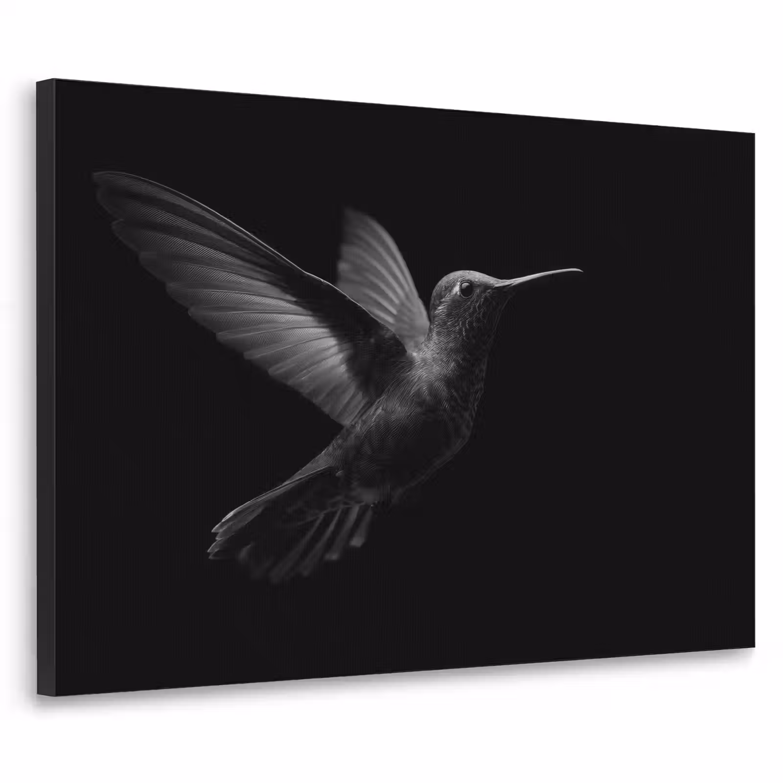 Art Frame - Kolibrie - Zwart - Dieren — 1