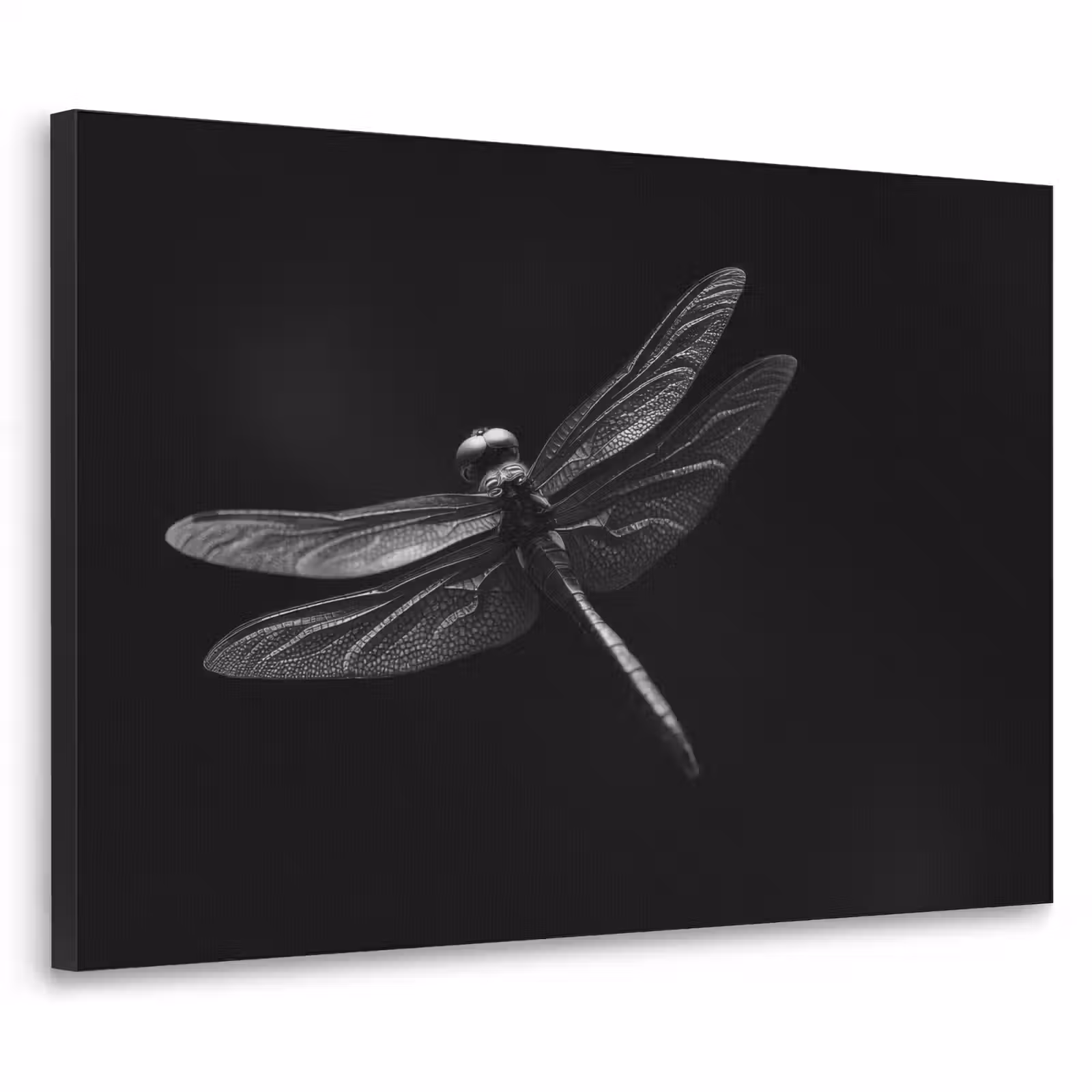 Art Frame - Libelle - Dieren - Zwart - Insect — 1