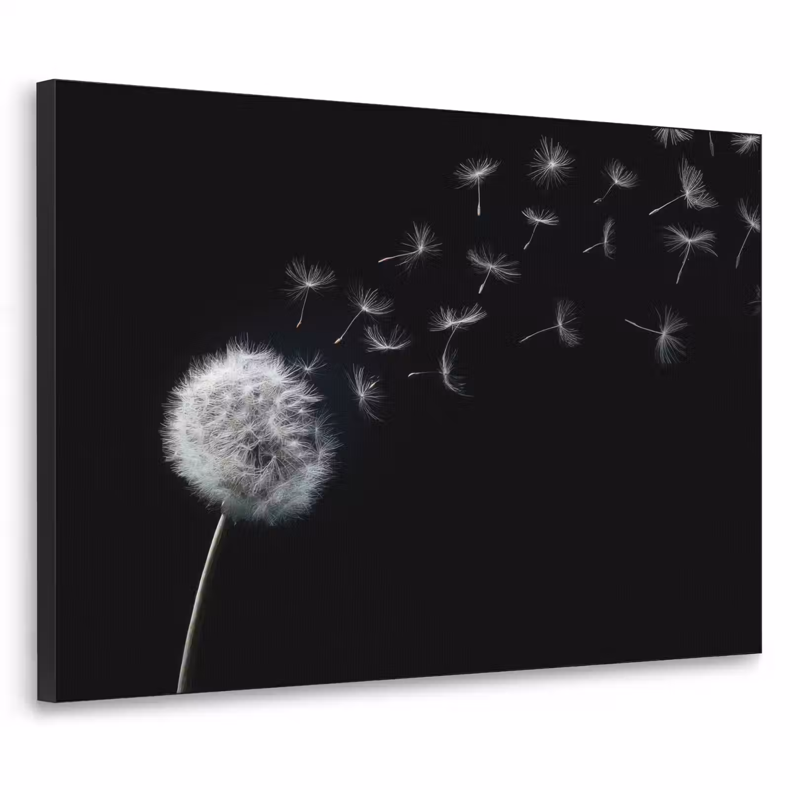 Art Frame - Paardenbloem - Zwart - Natuur — 1