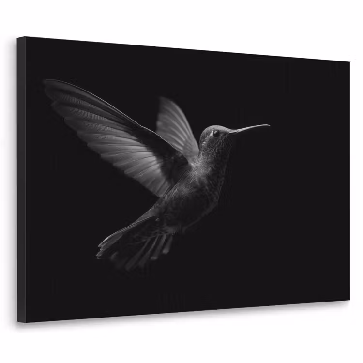 Art Frame - Kolibrie - Zwart - Dieren — 1