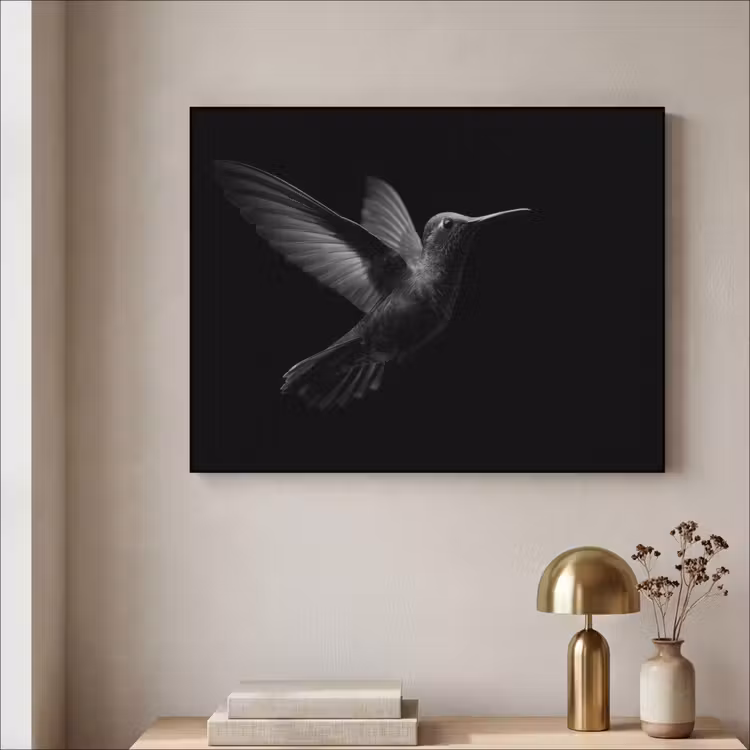 Art Frame - Kolibrie - Zwart - Dieren — 5