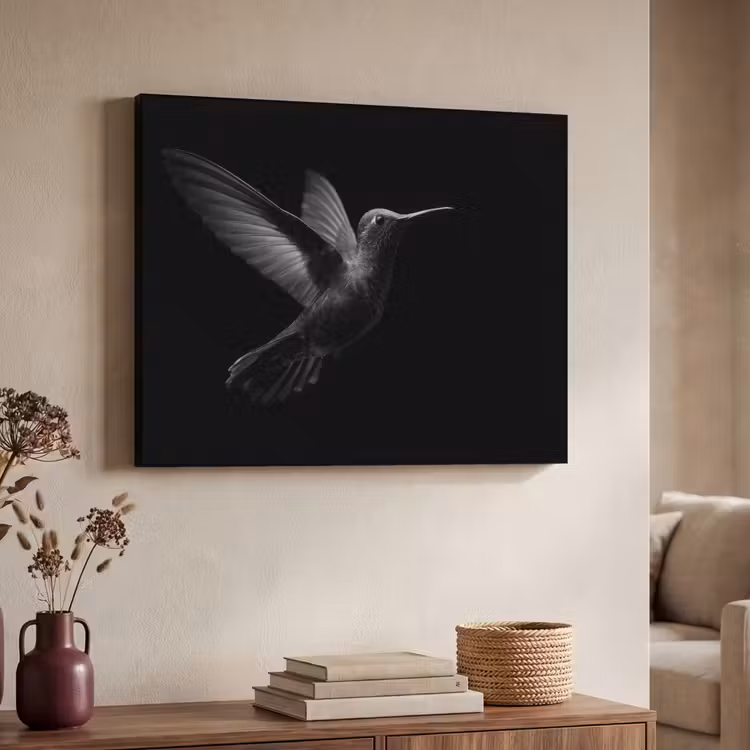 Art Frame - Kolibrie - Zwart - Dieren — 7