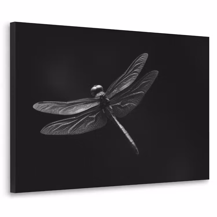 Art Frame - Libelle - Dieren - Zwart - Insect — 1