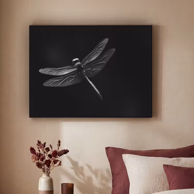 Art Frame - Libelle - Dieren - Zwart - Insect — 3