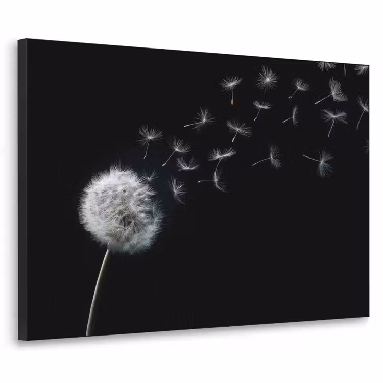 Art Frame - Paardenbloem - Zwart - Natuur — 1