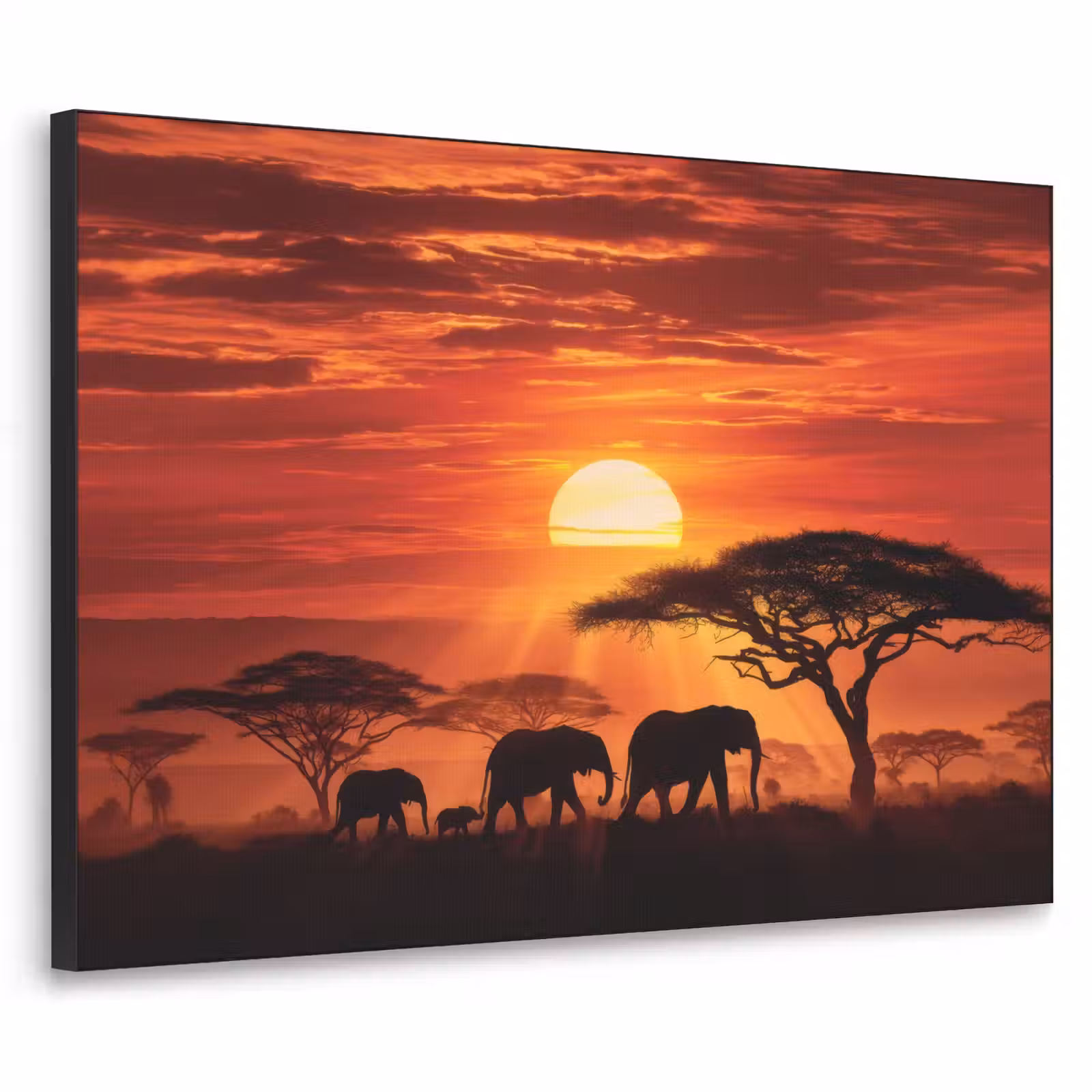 Art Frame - Savanne - Olifanten - Zonsondergang — 1