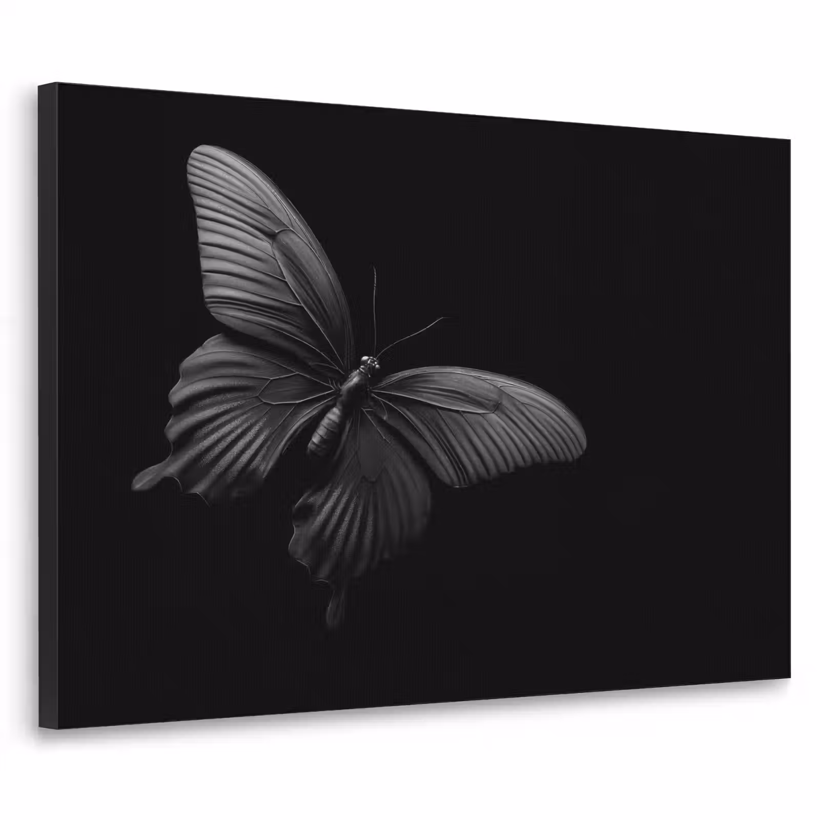Art Frame - Vlinder - Zwart - Insect - Dieren — 1