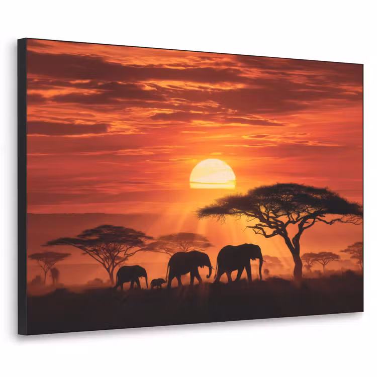 Art Frame - Savanne - Olifanten - Zonsondergang — 1