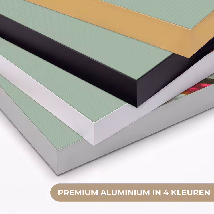 Art Frame - Tak - Bladeren - Kleurrijk - Schaduw — 2