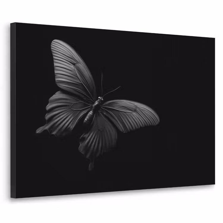 Art Frame - Vlinder - Zwart - Insect - Dieren — 1