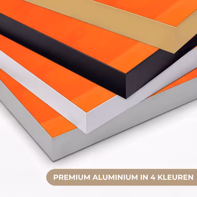 Art Frame - Luipaarden - Stippen - Oranje — 2