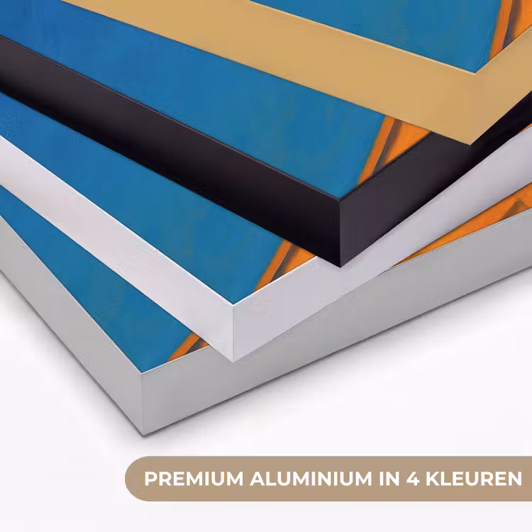 Art Frame - Meeuw - Gebouw - Lucht - Geschilderd — 2