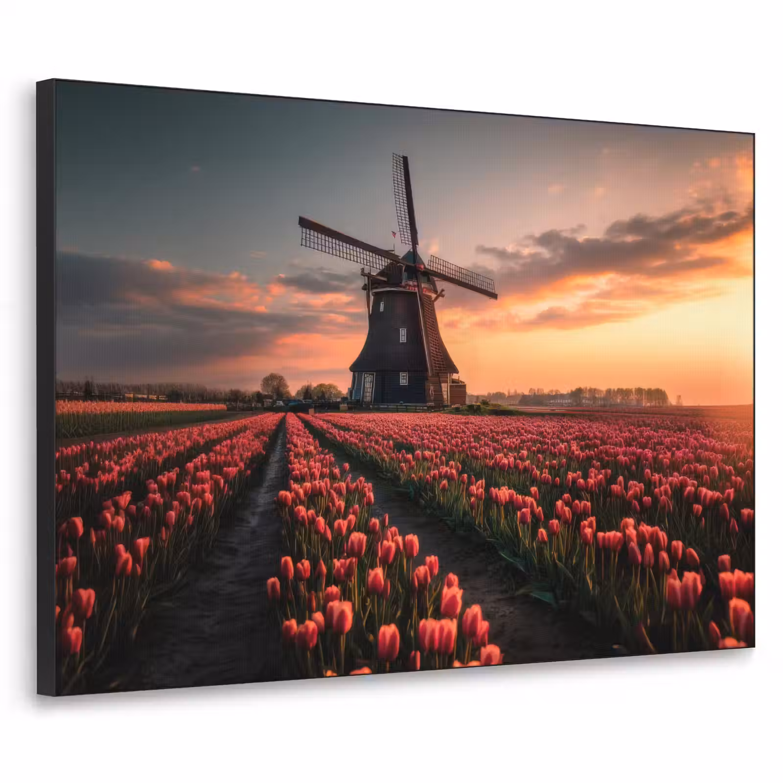 Art Frame - Molen - Zonsondergang - Tulpen - Rood — 1