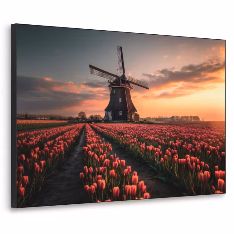 Art Frame - Molen - Zonsondergang - Tulpen - Rood — 1