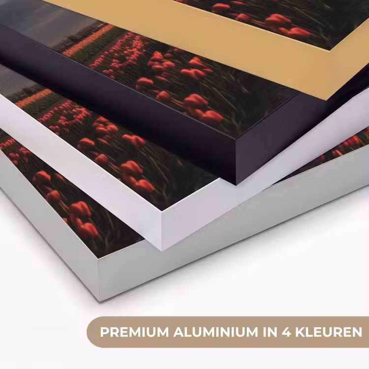 Art Frame - Molen - Zonsondergang - Tulpen - Rood — 2