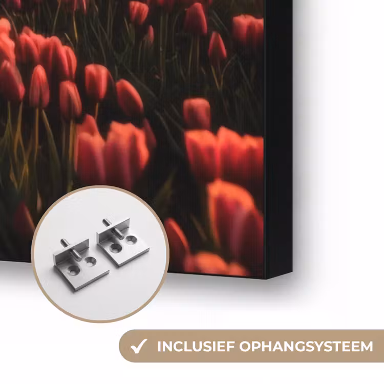 Art Frame - Molen - Zonsondergang - Tulpen - Rood — 6