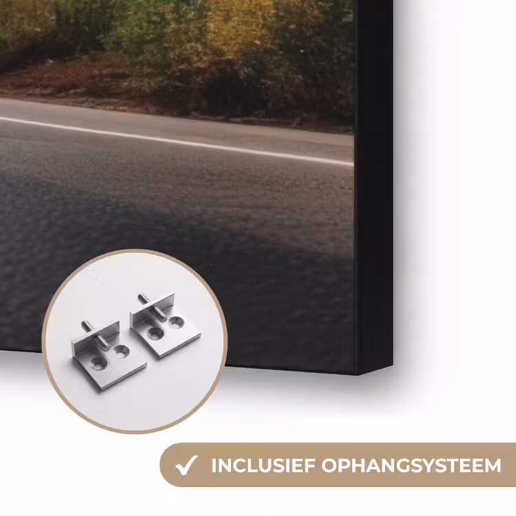 Art Frame - Sparrenbos - Weg - Bergen - Sneeuw — 6