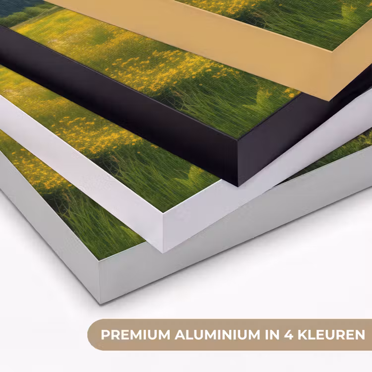 Art Frame - Veld - Hek - Bergen - Bloemen — 2