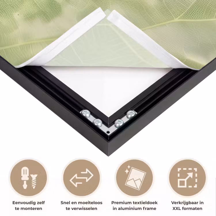 Art Frame - Hagedis - Blad - Nerven - Groen — 4