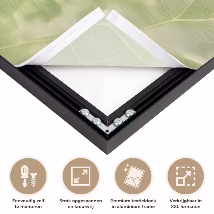 Art Frame - Hagedis - Blad - Nerven - Groen — 8