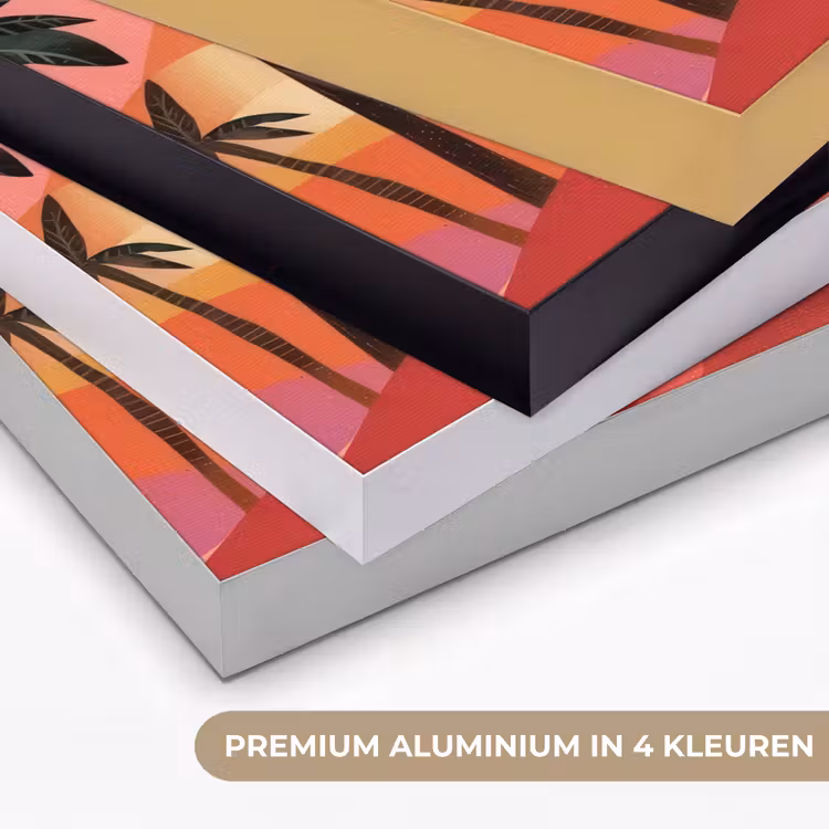 Art Frame - Kameel - Pyramides - Rode zon — 2