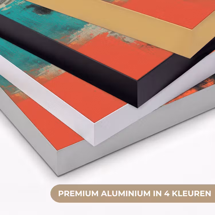 Art Frame - Klassiek - Pareloorbel - Streetartstijl - Kleurrijk — 2