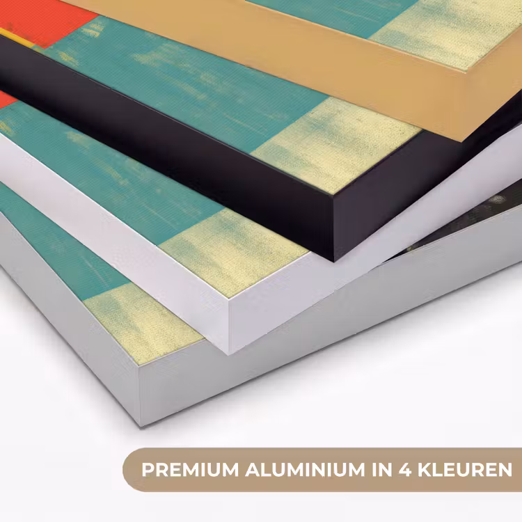 Art Frame - Vrouw - Kleurvlakken - Klassieke schilderkunst — 2