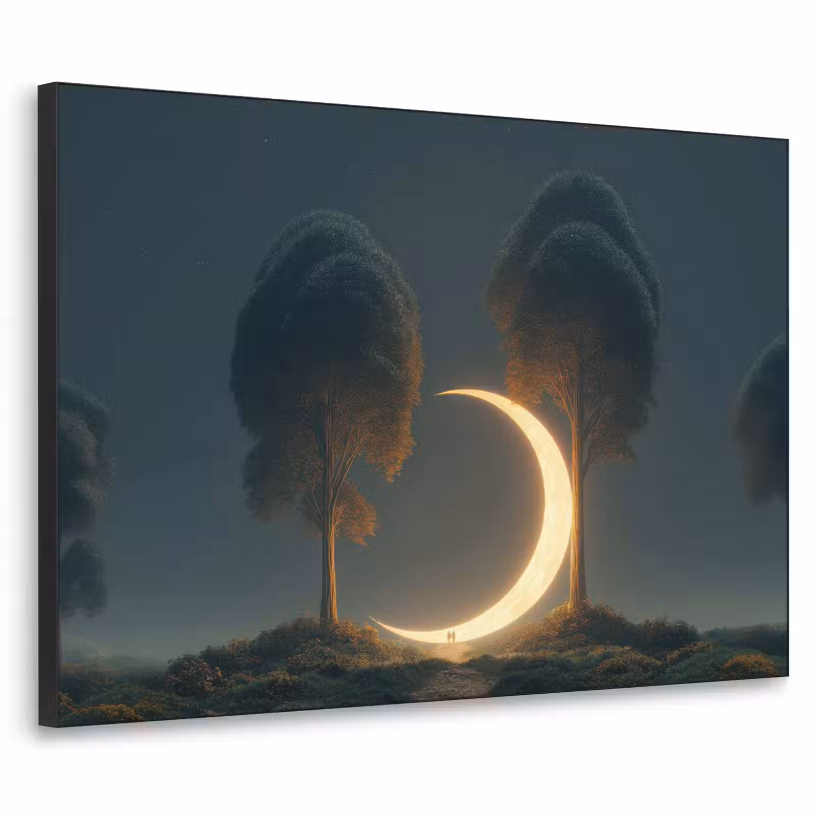 Art Frame - Maan - Bomen - Wandeling — 1