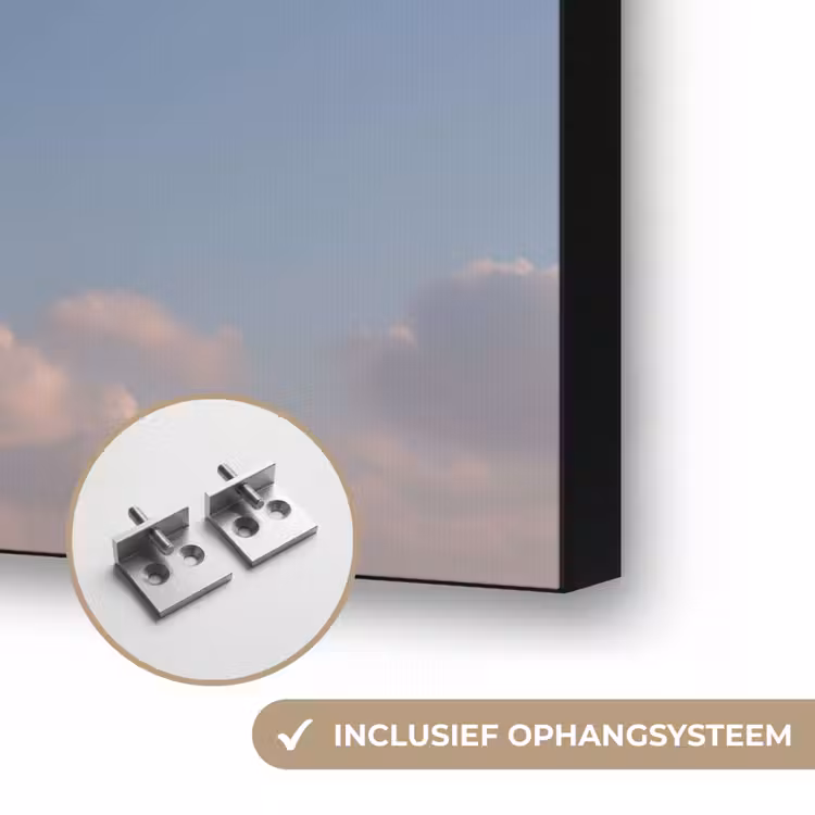 Art Frame - Dolfijn - Roze - Astronaut — 6
