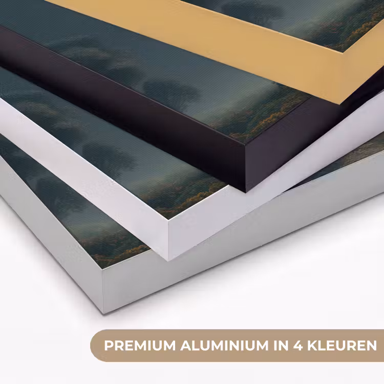 Art Frame - Maan - Bomen - Wandeling — 2