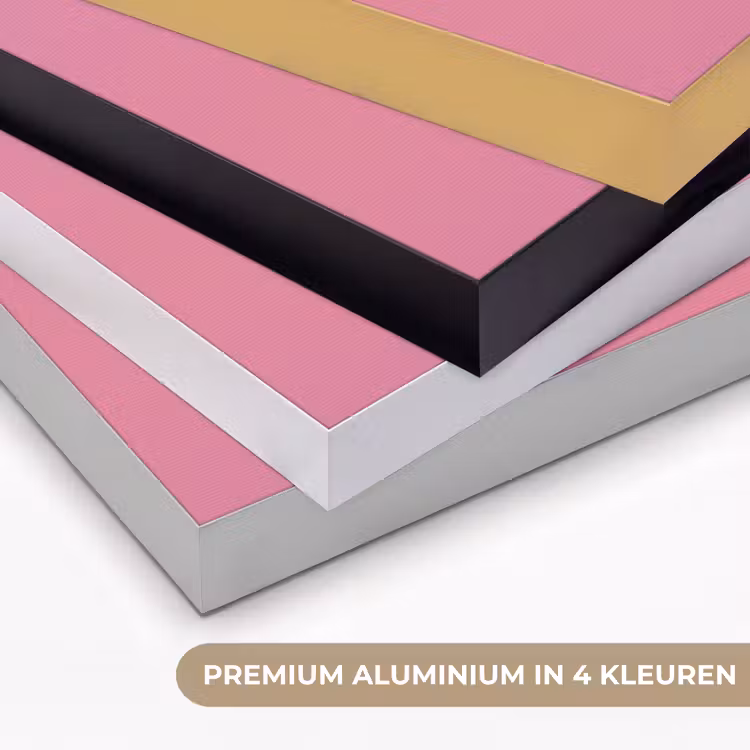 Art Frame - Hoorntje - Schepijs - Roze — 2