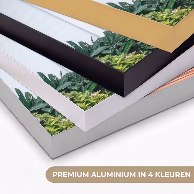Art Frame - Deur - Patronen - Planten — 2