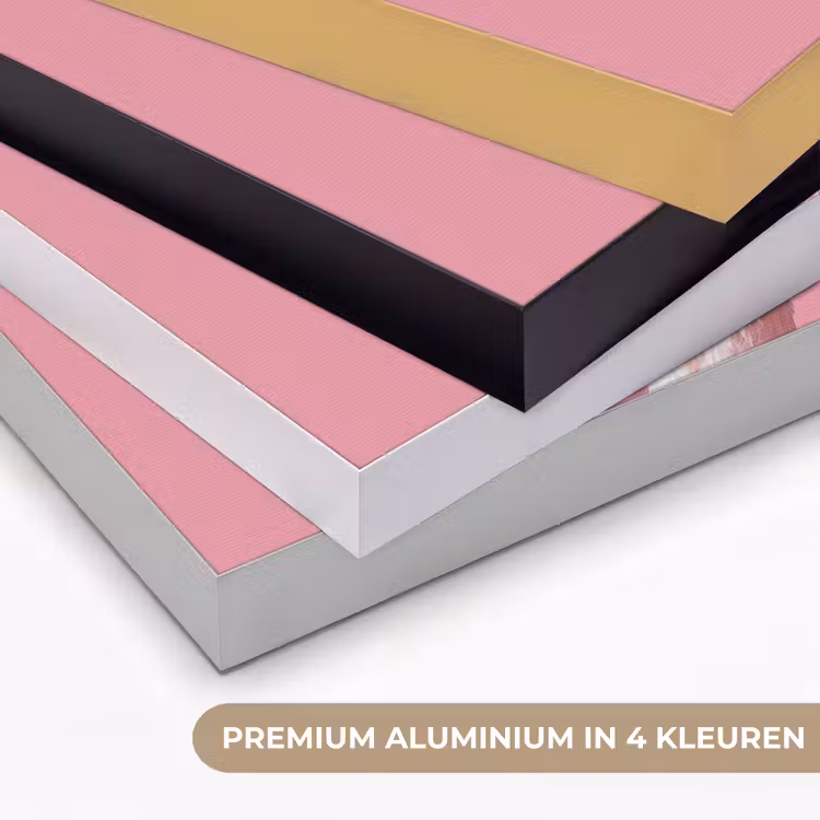 Art Frame - Flamingo - Roze - Koksmuts - Vogel — 2