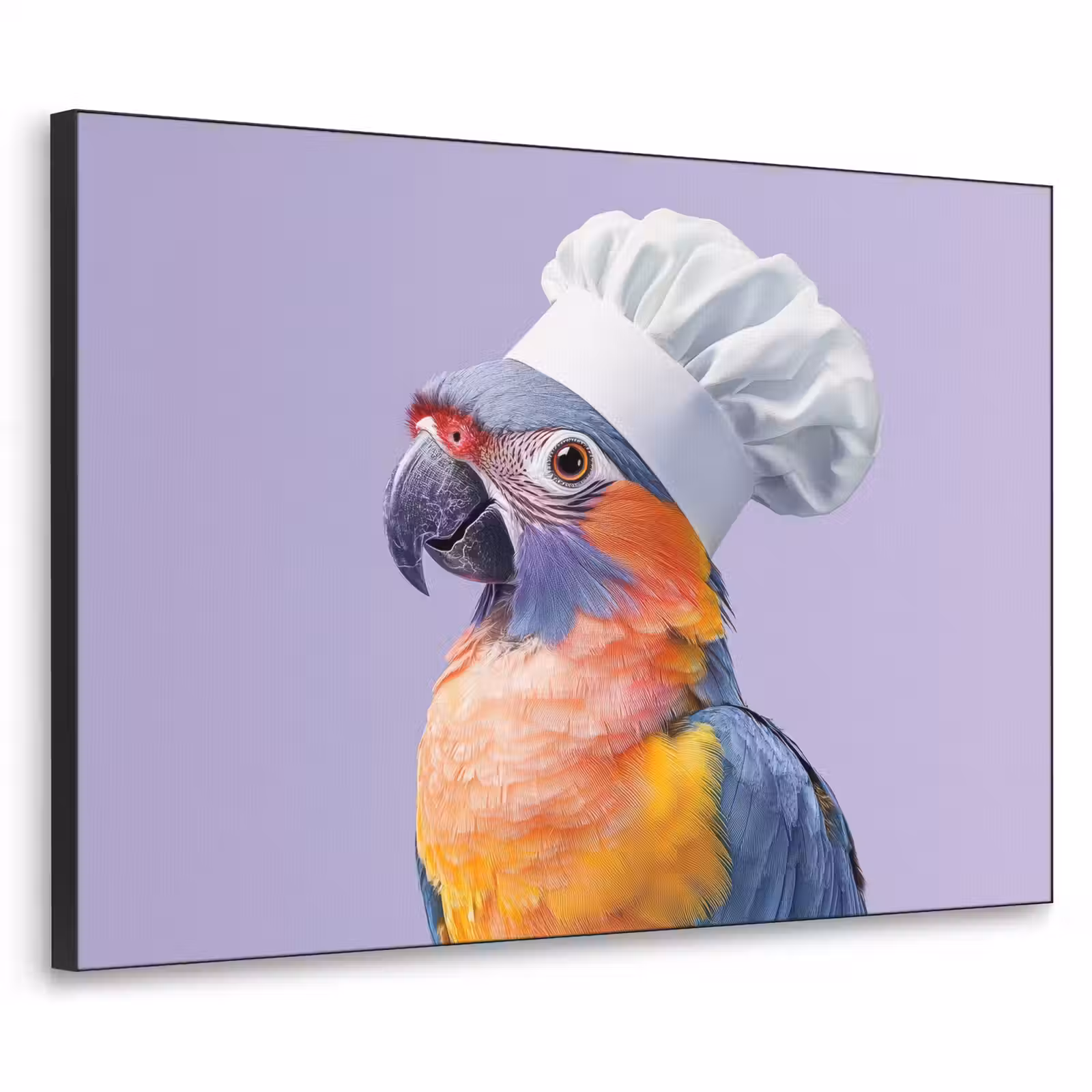 Art Frame - Papegaai - Koksmuts - Paars - Cute — 1