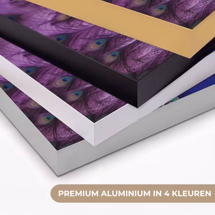 Art Frame - Pauw - Koksmuts - Cool - Paars — 2