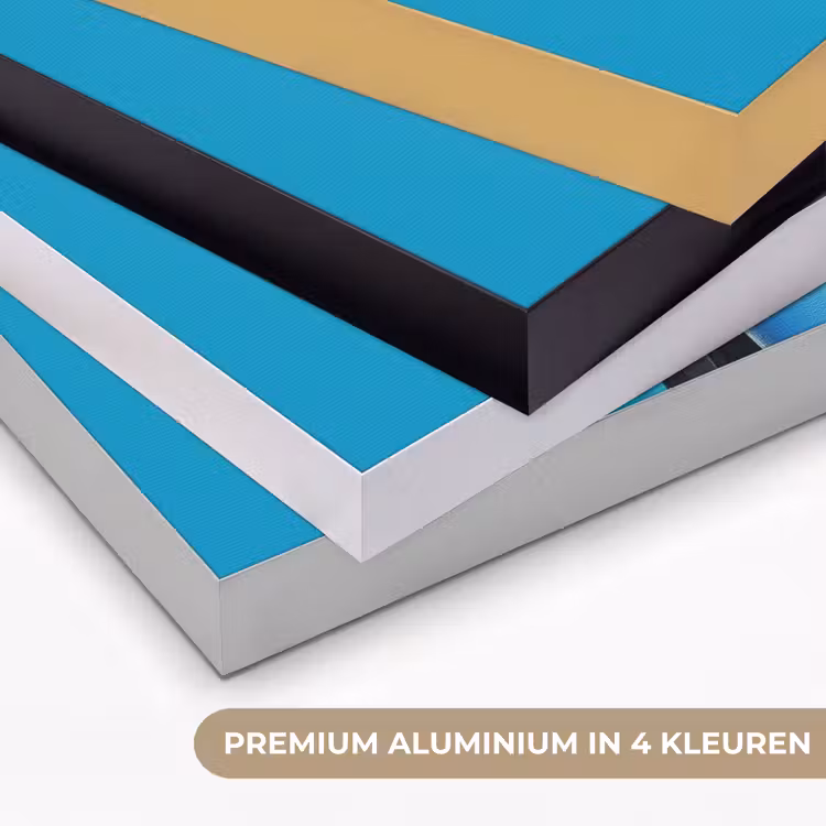 Art Frame - Tucan - Sokkel - Vogel - Koksmuts — 2