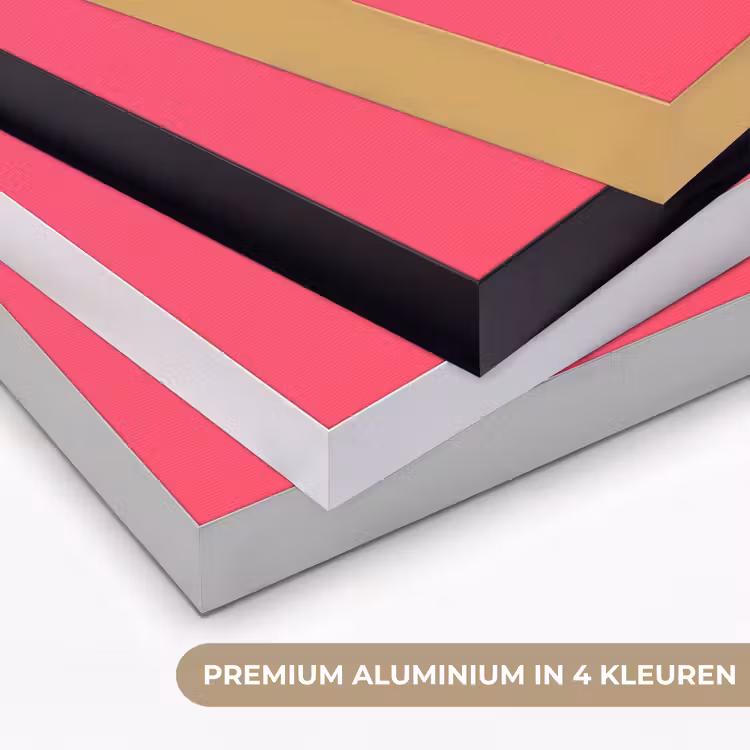 Art Frame - Schepijs - Roze - Hoorntje — 2